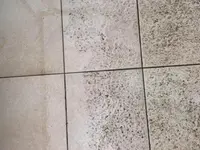 Clean&Co. Sàrl