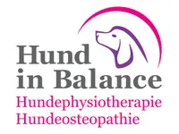 Hund in Balance Hundephysiotherapie