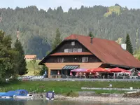 Grüene Aff - Klicken Sie, um das Bild 1 in einer Lightbox vergrössert darzustellen