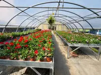 GIARDINI DOS SANTOS CANIÇO