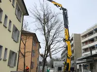 Tschan Gartenbau & Gartenunterhalt GmbH