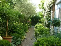 AV Jardin