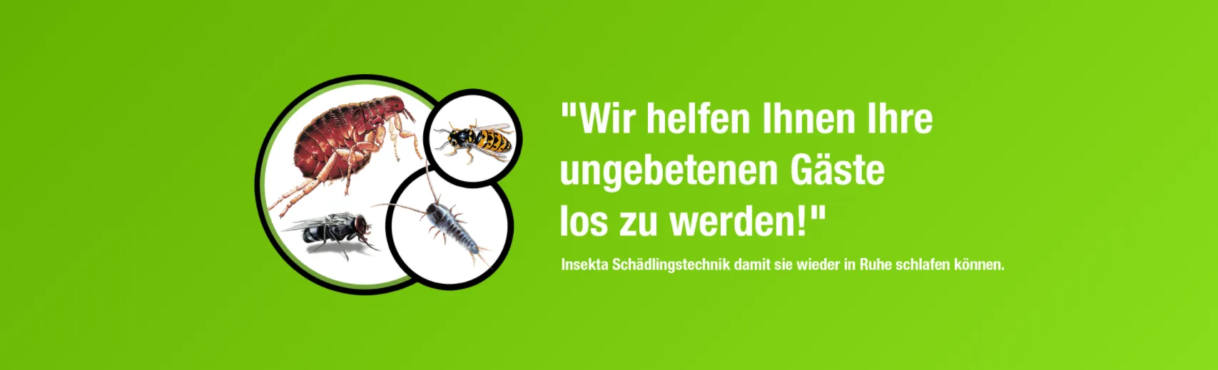 Insekta Schädlingstechnik GmbH