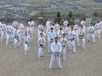 Taekwon-Do Terranova Zürich