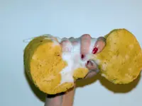 PureClean Delgado Ponce