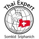 Thai Expert-Logo