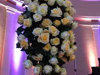 Blumen Fleischli