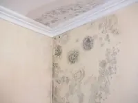 Malergeschäft Marcel Rüegg