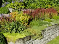 Villiger Arnosti Gartenbau AG
