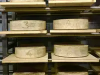Azienda Agricola Ai Pianoi