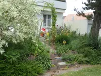 Schneider Garten
