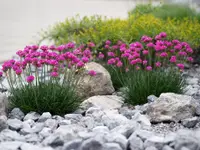 Burri & Achermann Gartenbau AG