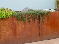 Wittwer Blumen Gartenbau AG