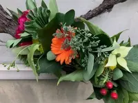 Doula Fachschule Schweiz