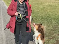 Hundetraining Dog Know How
