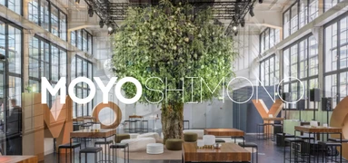MOYOSHIMONO