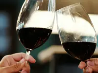 Wein Treffpunkt GmbH