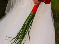 Blumen Ball GmbH