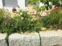 Arifi Gartenbau GmbH