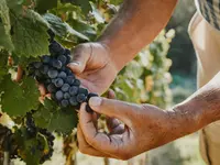 Domaine Saint-Sébaste