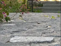 Müller Gartengestaltung GmbH