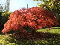 L'Eco des Jardins - Klicken Sie, um das Bild 1 in einer Lightbox vergrössert darzustellen