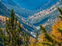 Schweizerischer Nationalpark - Klicken Sie, um das Bild 13 in einer Lightbox vergrössert darzustellen