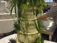 Fiori Mela Sagl