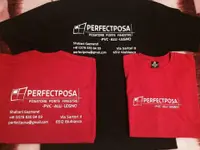 Fornitura/posa Serramenti Perfectposa Sagl Ticino
