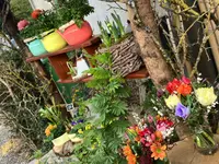Fleurs d'Elfes