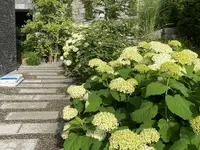 Küng Garten AG