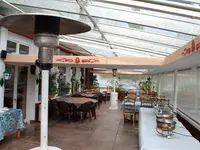 Maharani Indian
