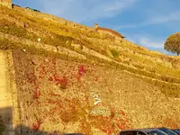 Lavaux Vinorama