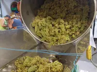 Cave du Cholèk Sàrl