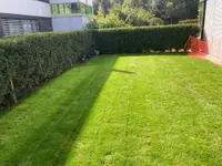 Kummer Gartenbau - Pflanzenoase