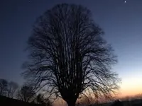 TCM Praxis für Frauen und Schmerzpatienten/Innen - Klicken Sie, um das Bild 15 in einer Lightbox vergrössert darzustellen