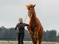 Equimove GmbH