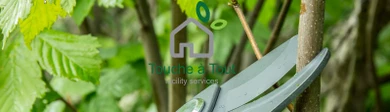 TOUCHE A TOUT Facility Services