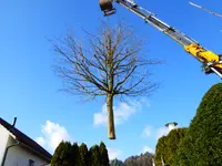 Näf Markus - Klicken Sie, um das Bild 11 in einer Lightbox vergrössert darzustellen