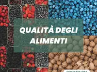 Equilibrium Wellness Sagl