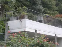 Impresa di costruzioni Marco Longhi