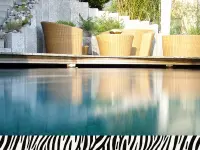 Zebra AG Garten & Pool