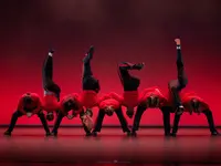 Verein TDC dance company & school