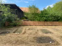 Steiner Gartenbau Sàrl