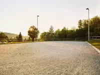 Pferdeklinik Thurland