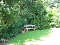 Hatt Gartenbau