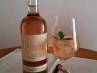 CANTINA IL CAVALIERE SA