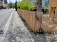 Project Green GmbH, Ruggell (LI), Zweigniederlassung Sevelen
