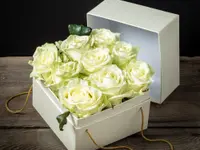 ARTEFAKT Blumen GmbH