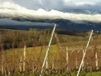 Domaine Les Hutins - Klicken Sie, um das Bild 11 in einer Lightbox vergrössert darzustellen